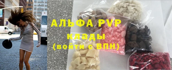 PSILOCYBIN Баксан