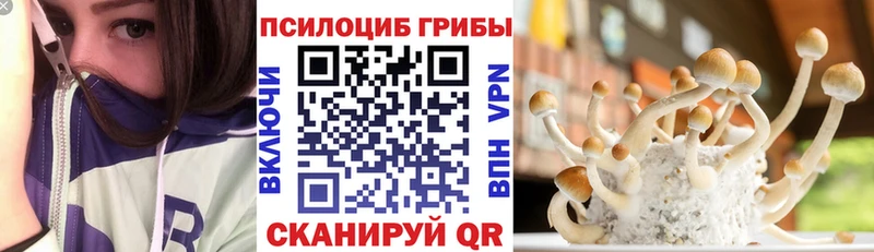 даркнет сайт  Новоалександровск  Псилоцибиновые грибы MAGIC MUSHROOMS 